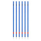 Trident Slalom Pole with Spring - Blue