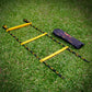 Trident Master Premium Speed Ladder - 6M (Yellow/Black)