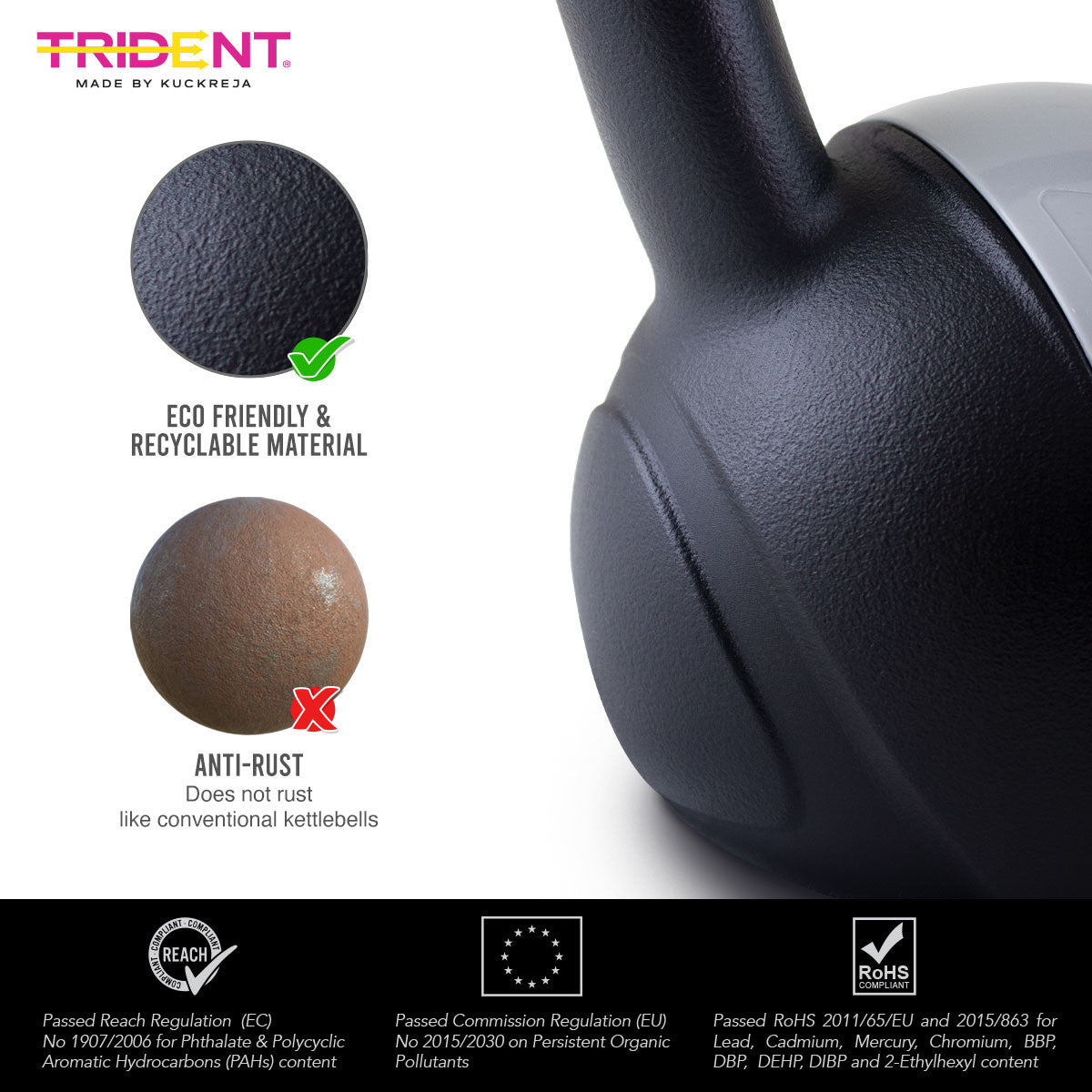 Trident Master Premium Molded Kettlebell - 8kg