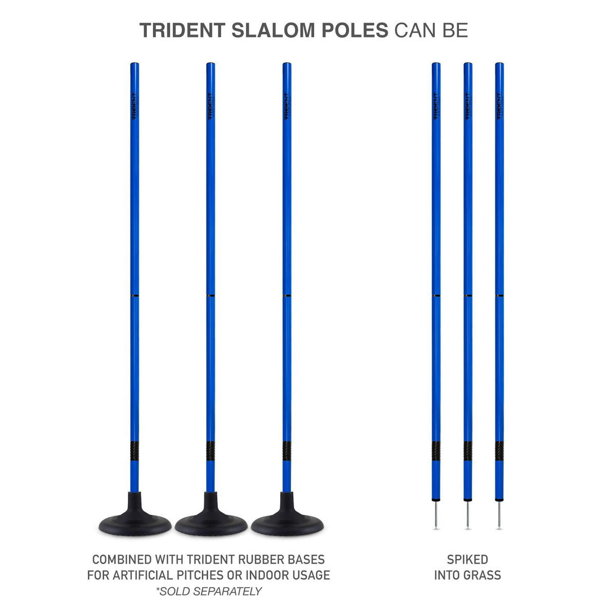 Trident Two-Piece Slalom Pole with Spring - Blue