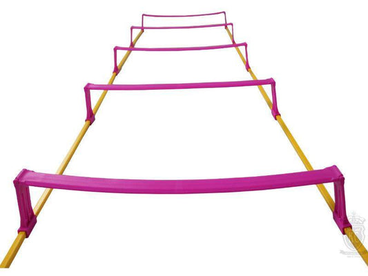 Trident Elevated Speed Ladder - 6m