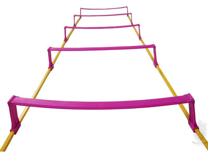 Trident Elevated Speed Ladder - 3m