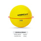 Trident Adiwira Cricket Ball