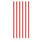Trident Slalom Pole with Spring - Red