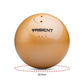 Trident Turned Shot Put - 4kg