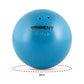 Trident Turned Shot Put - 5.45kg