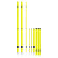 Trident Two-Piece Slalom Pole with Spring - Neon