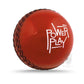 Gray Nicolls Powerplay Cricket Ball - Red